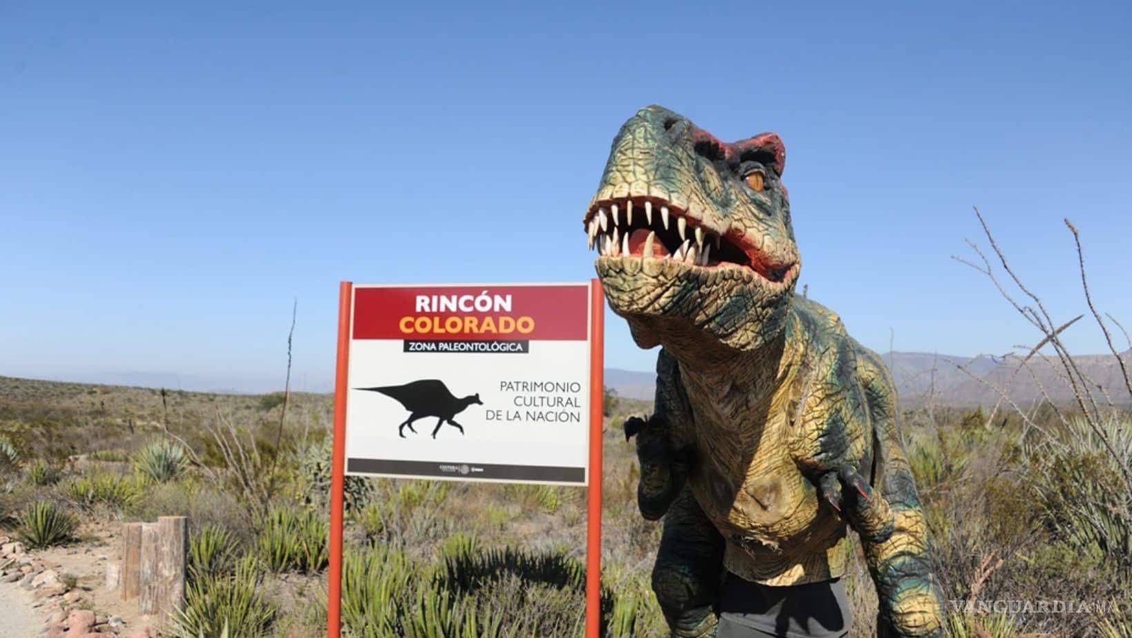 $!Podrás conocer cómo es el trabajo de un arqueólogo en campo.