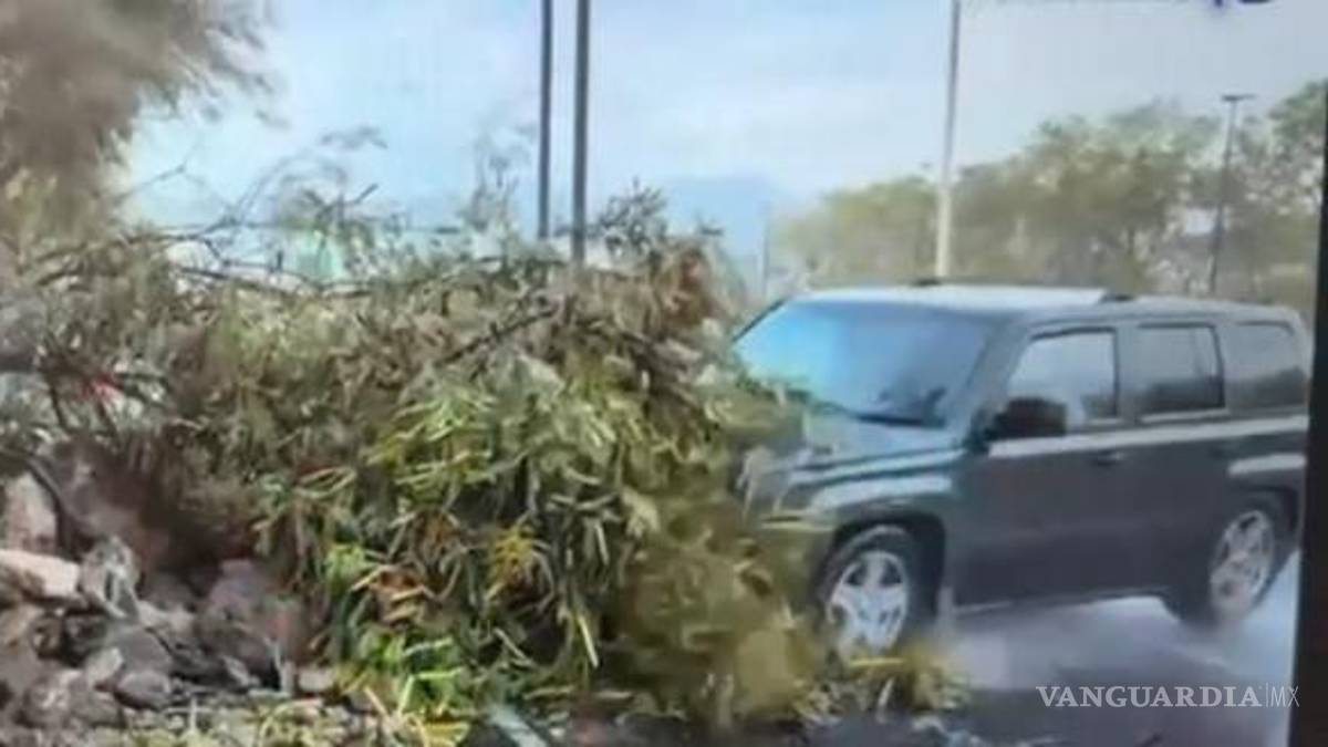 Arrollan a reportera y camarógrafo durante transmisión en vivo por lluvias en Monterrey | VIDEO