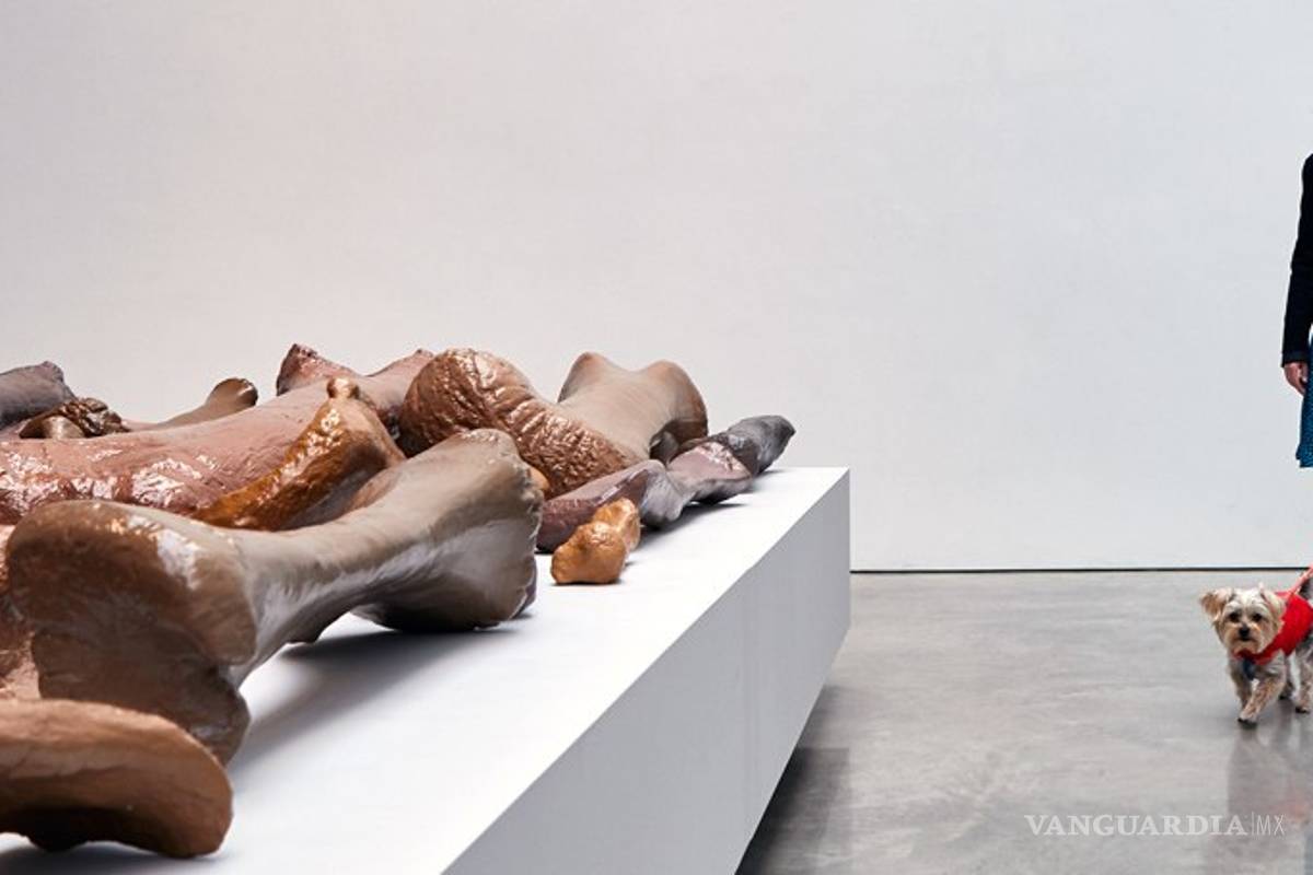 $!"Dogumenta", una exposición de arte para perros en Nueva York