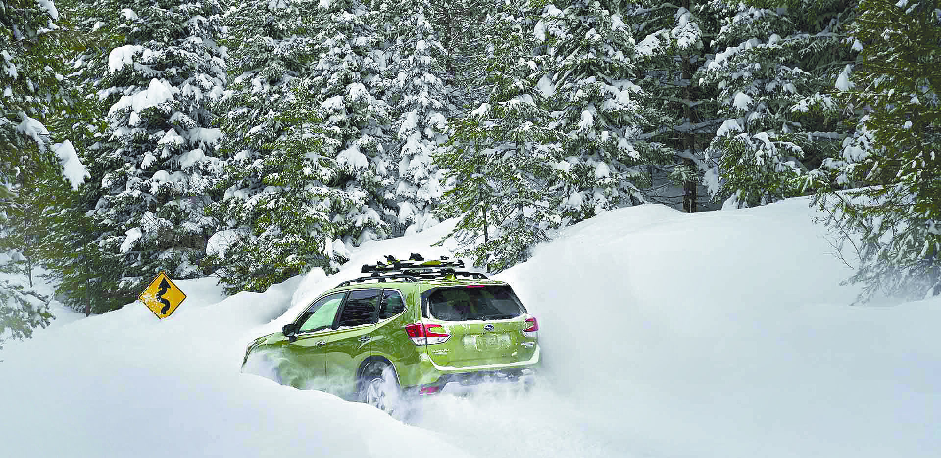 Subaru Forester 2019,nuevo y distinguido