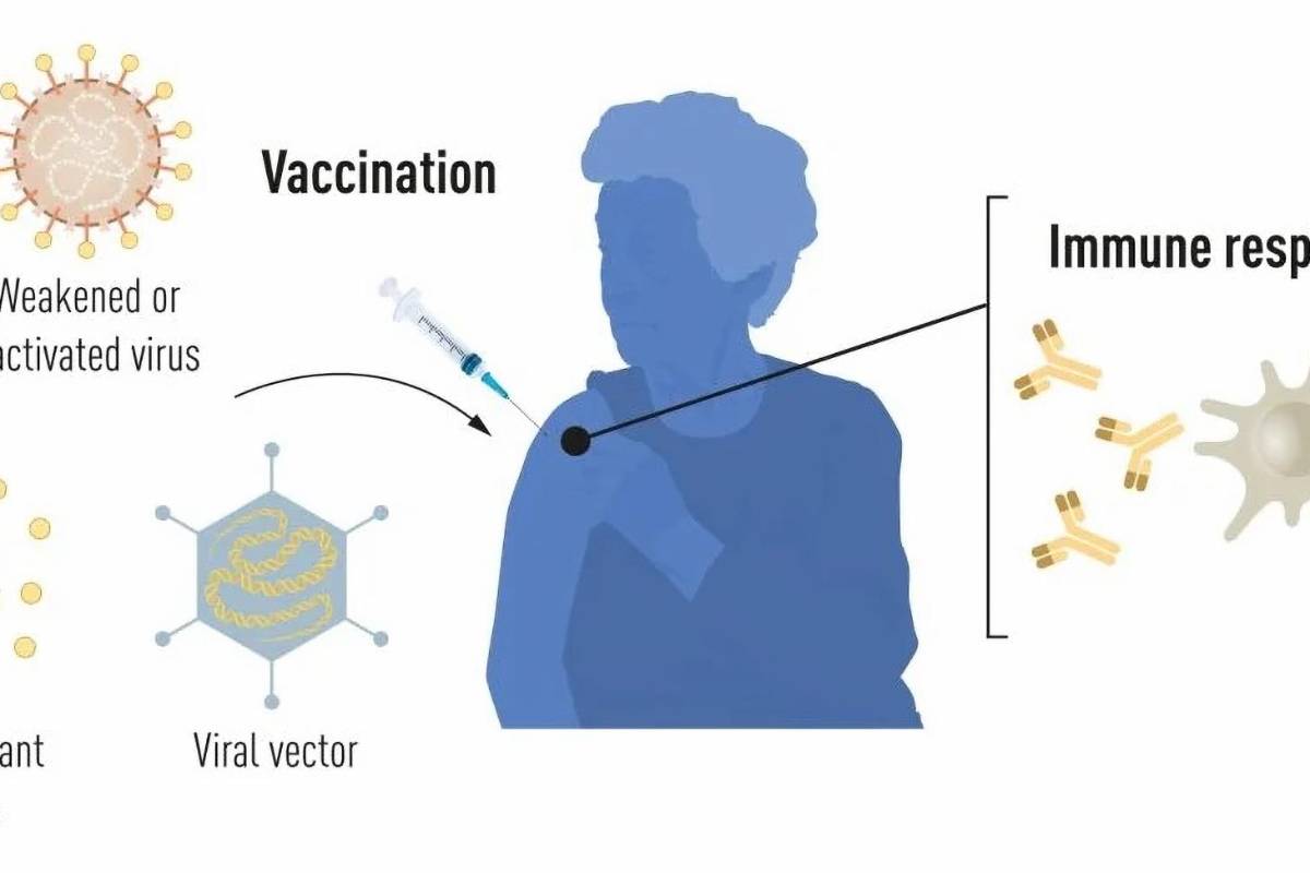 $!Métodos de producción de vacunas antes de la pandemia de COVID-19.