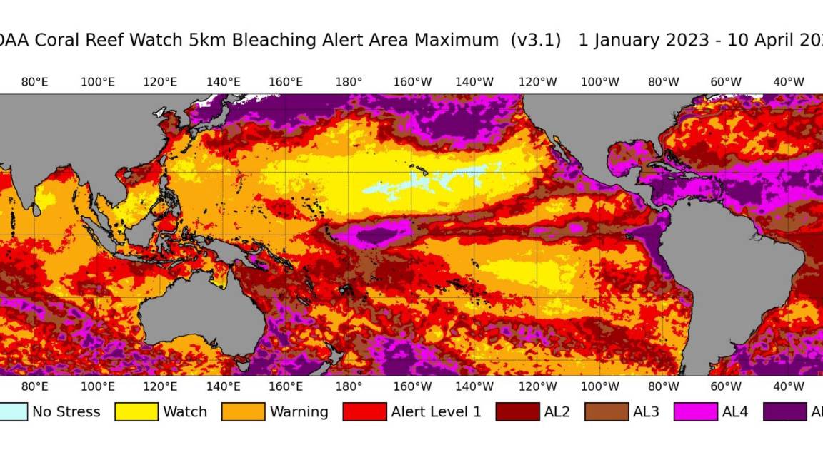 $!Mapa del área de alerta de blanqueo de coral satelital global con resolución de 5 km de NOAA Coral Reef Watch, del 1 de enero de 2023 al 10 de abril de 2024.