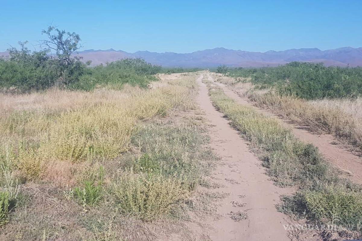 Revelan que Reynosa tuvo una zona de exterminio más grande que Teuchitlán