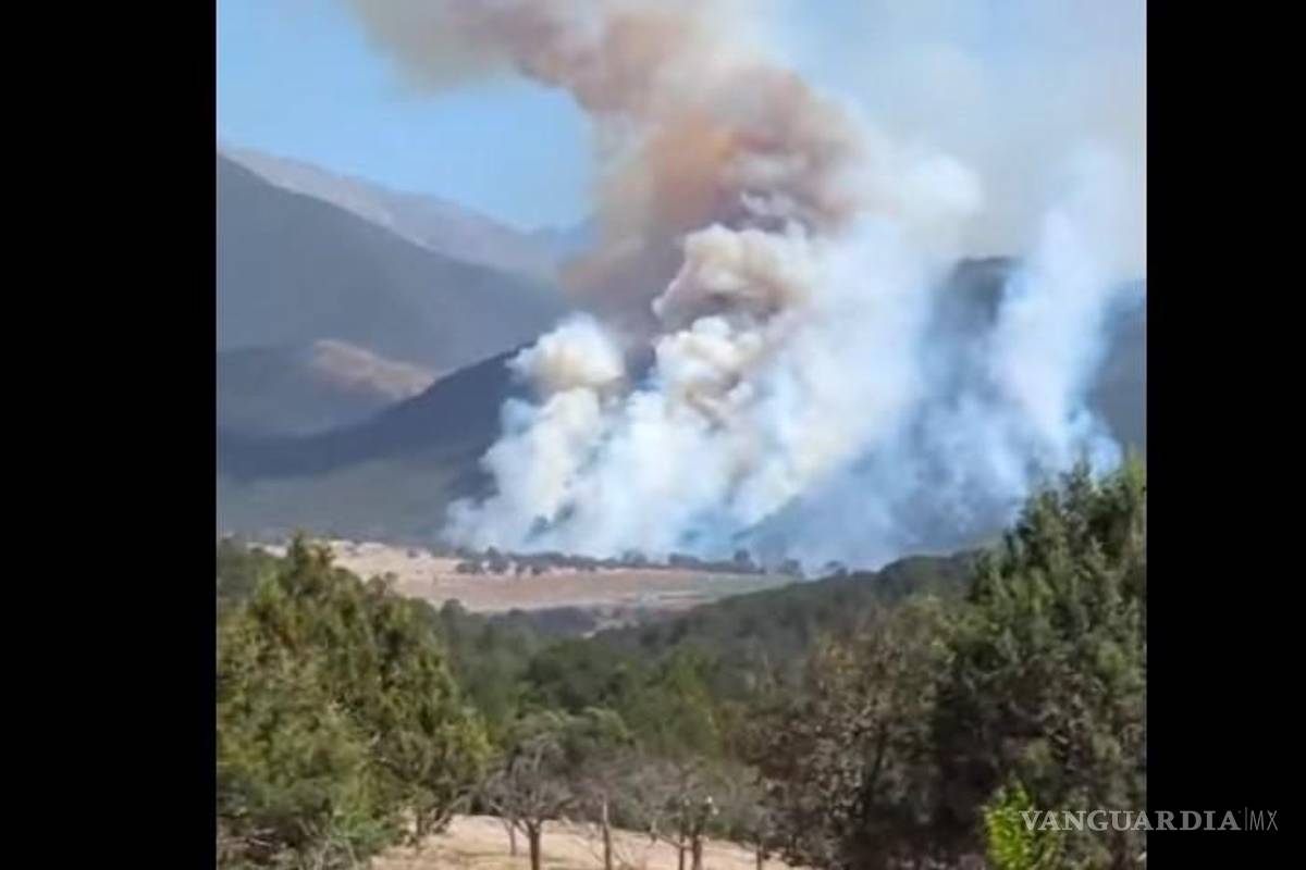 Incendio fuera de control en la Sierra de Arteaga; las llamas amenazan con expandirse por los fuertes vientos