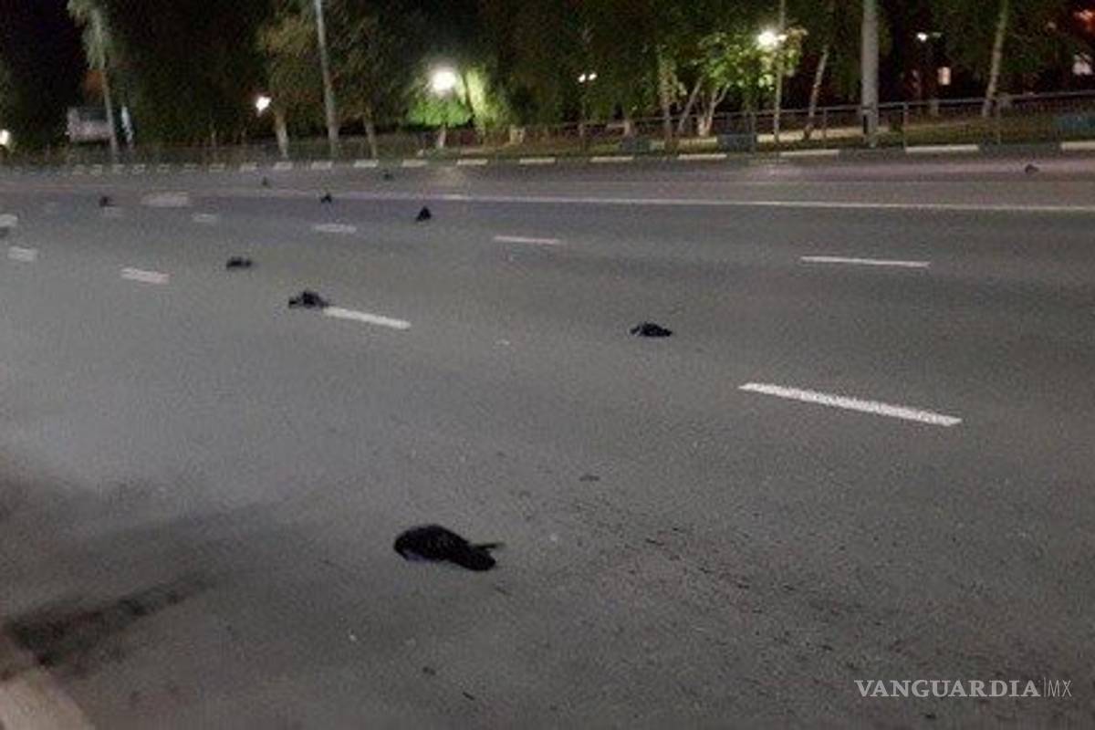 ¿Profecía apocalíptica de ‘Dark’ es real? Decenas de aves caen muertas del cielo en Rusia