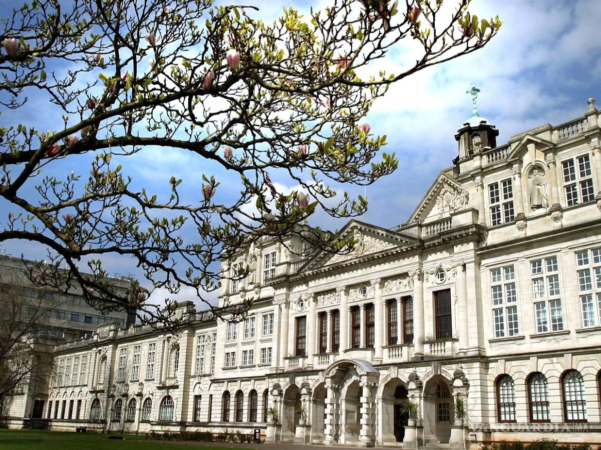 $!Beca Chevening: Grandes oportunidades, futuros líderes