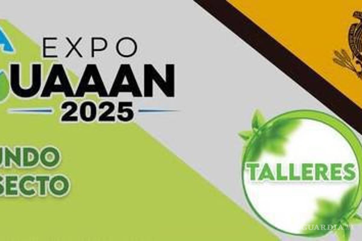 $!Niños podrán participan en el taller “Mundo insecto” y aprendrán sobre la importancia de los insectos en el ecosistema.