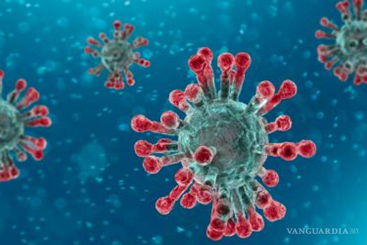 Inmunidad de rebaño no es una opción contra la pandemia de COVID-19, advierte la OMS