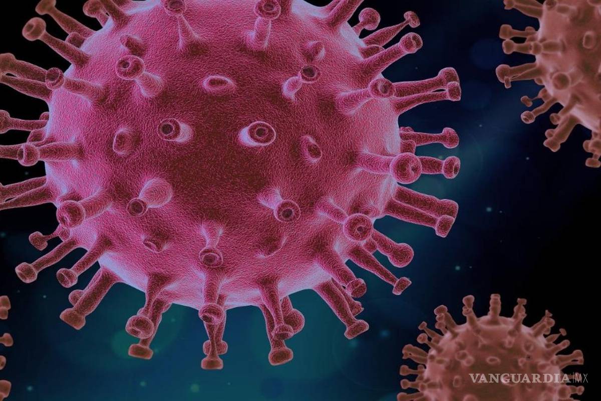 Casos de COVID-19 en el mundo bajan 21% en la última semana; registran 15 mil muertes