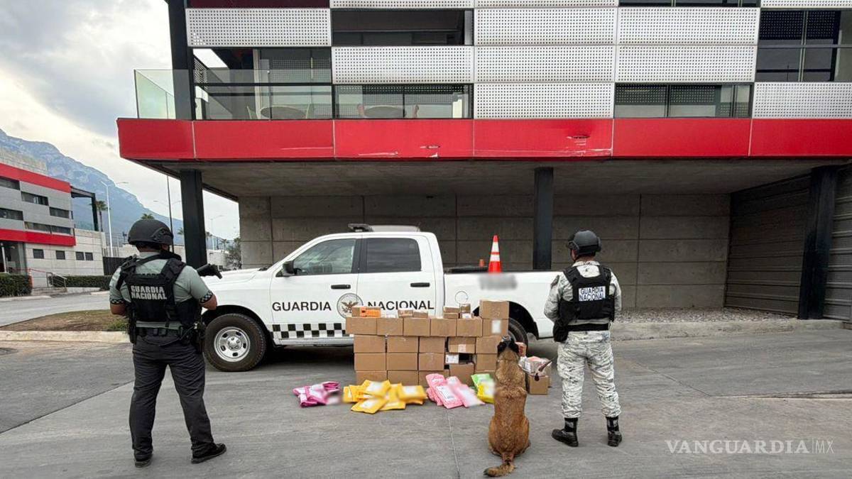 Enviaban desde Nuevo León droga por mensajería a 22 estados de México, entre ellos, Coahuila