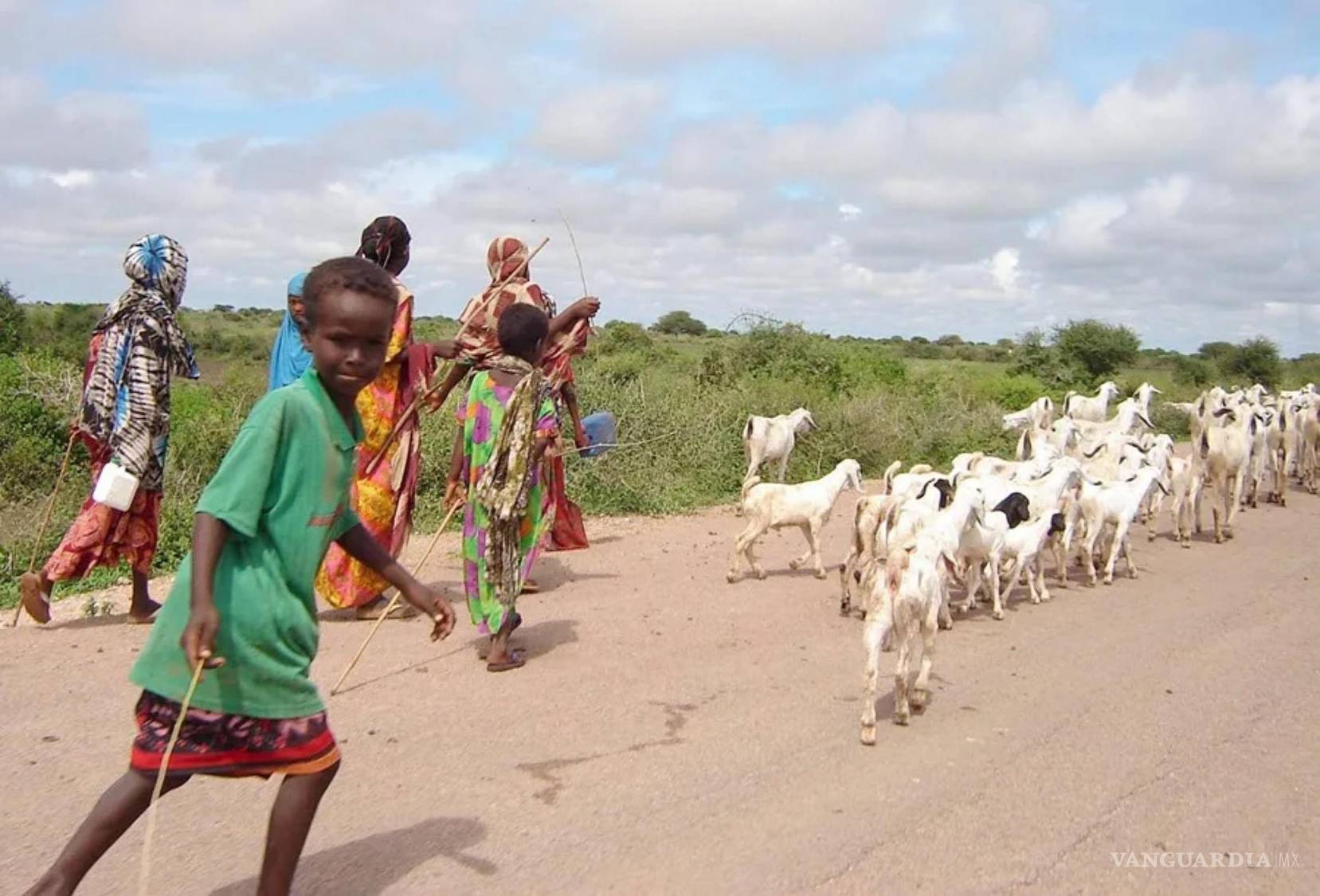 $!Un joven pastor de cabras y su familia, cerca de la ciudad de Baidoa, Somalia.
