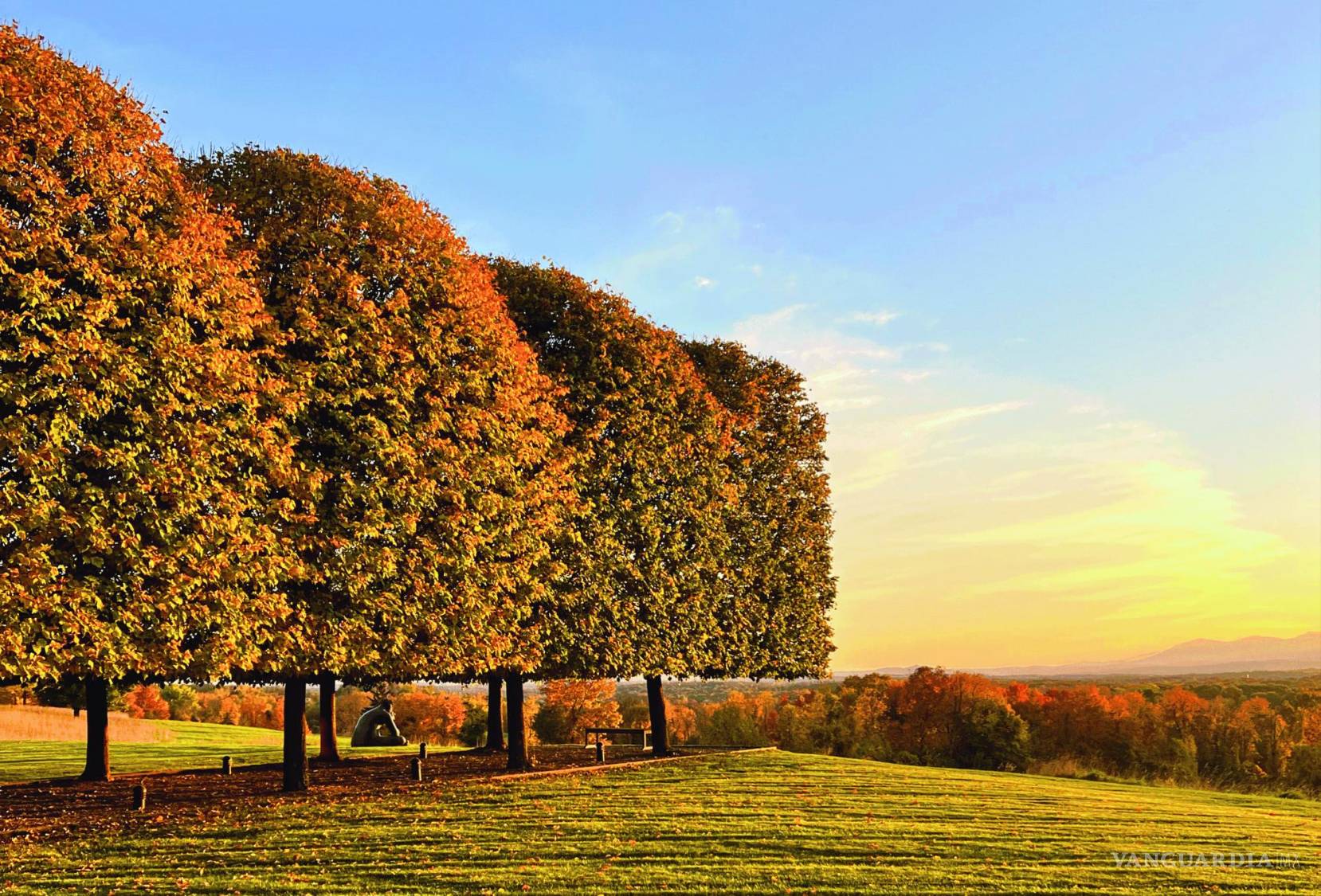 $!Su trabajo se encuentra en casas particulares, desarrollos comerciales y espacios públicos.