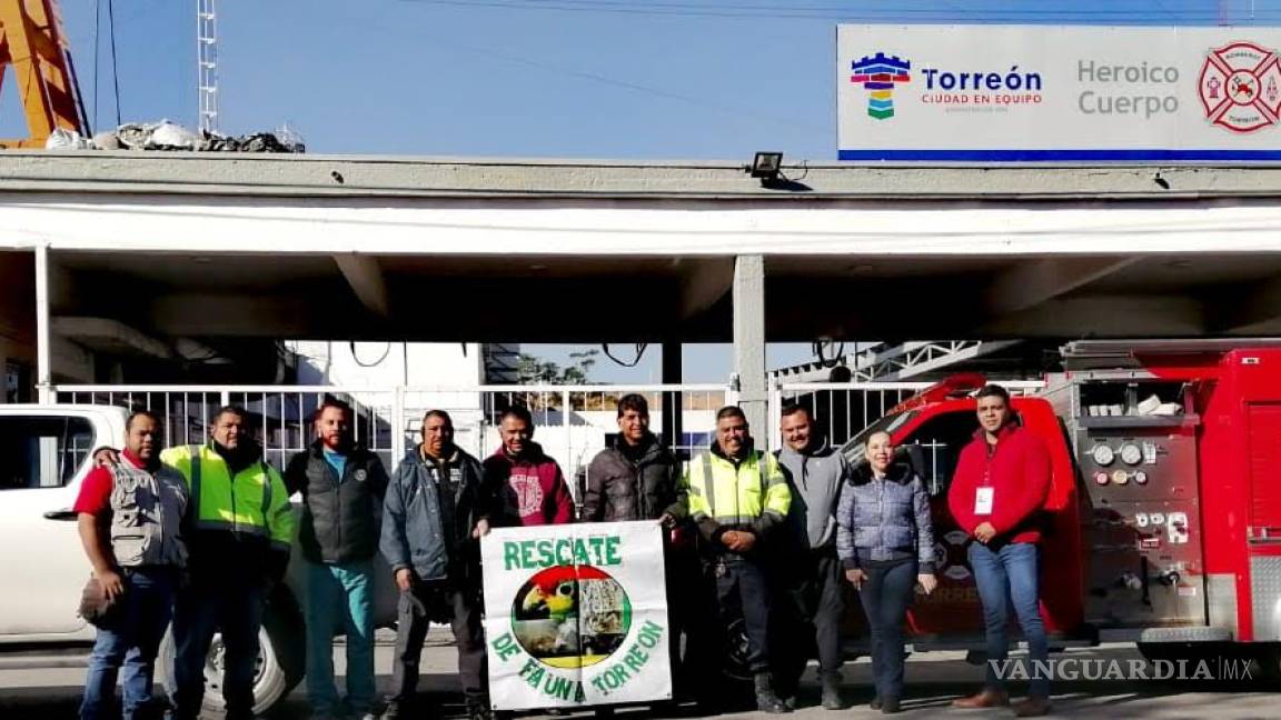 Protección Civil de Torreón y PROFEPA se unen para salvar fauna silvestre