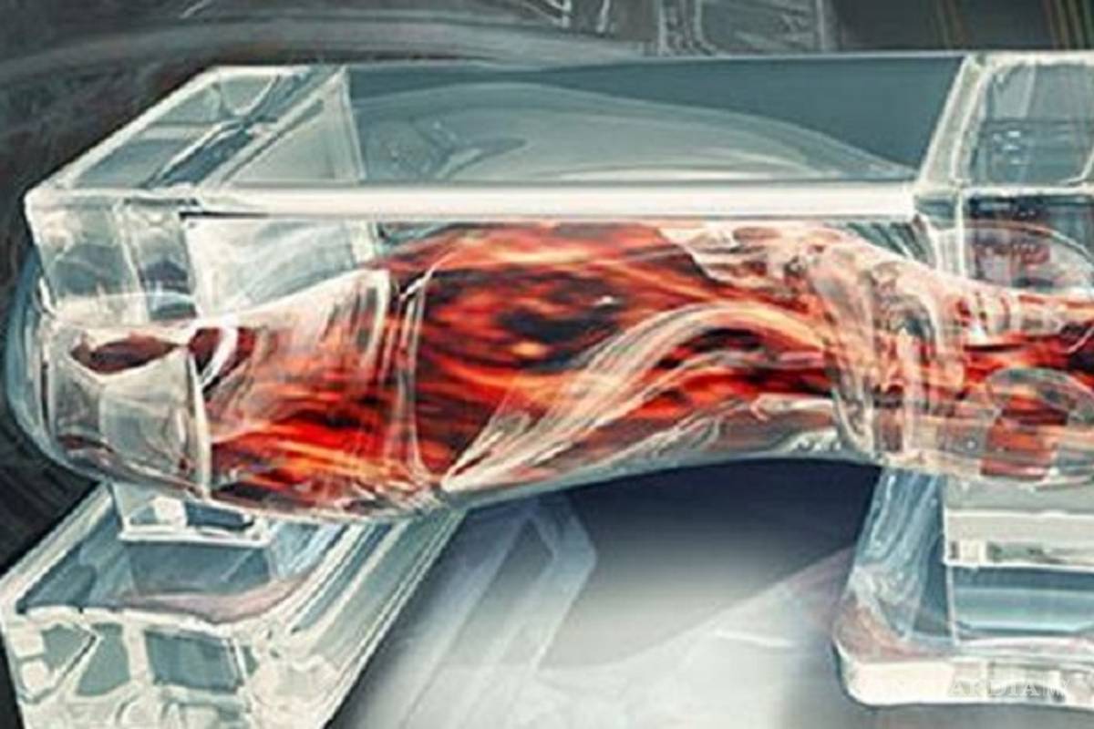 Desarrollan músculos artificiales para robots y para prótesis de humanos