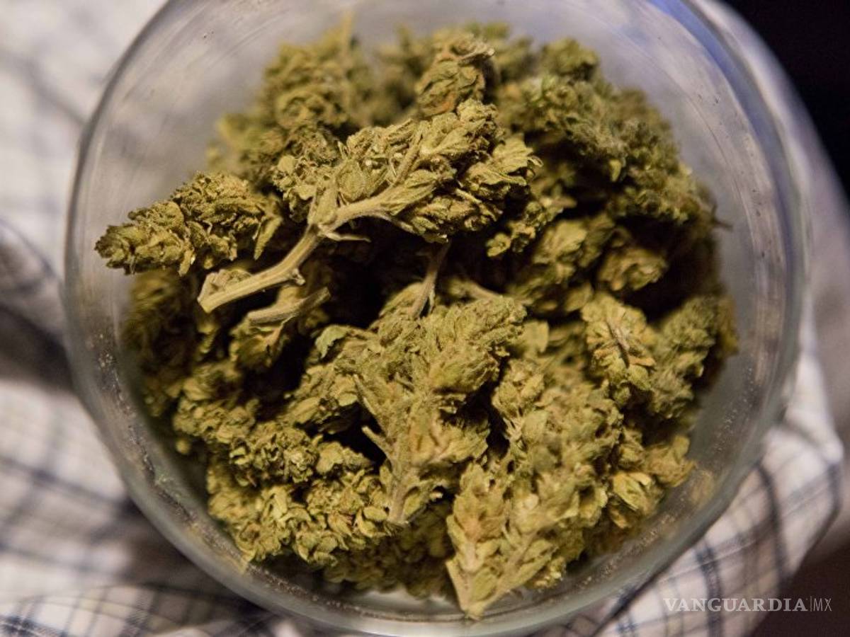 $!Lo que debes saber de la iniciativa sobre la mariguana de Morena, qué se permite y qué no