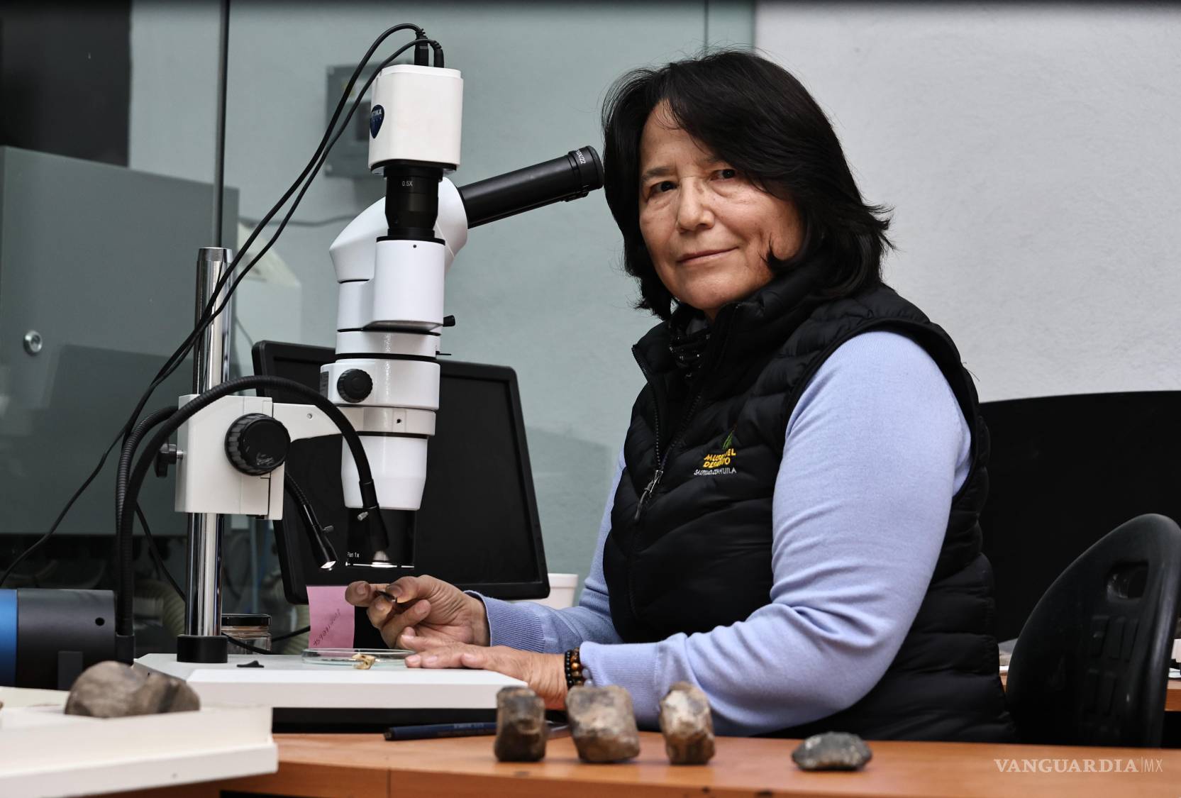$!La preparación de fósiles bajo microscopio permitió comparar huesos frontales hallados en la zona de La Parrita con materiales de Nuevo México y Canadá, confirmando la identidad del Xenovenator.