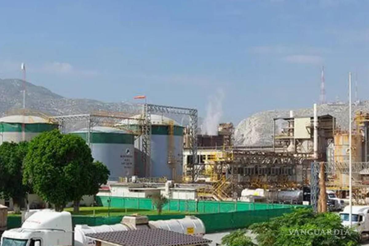 Se puede decir... Que Peñoles cuida la `naturaleza’