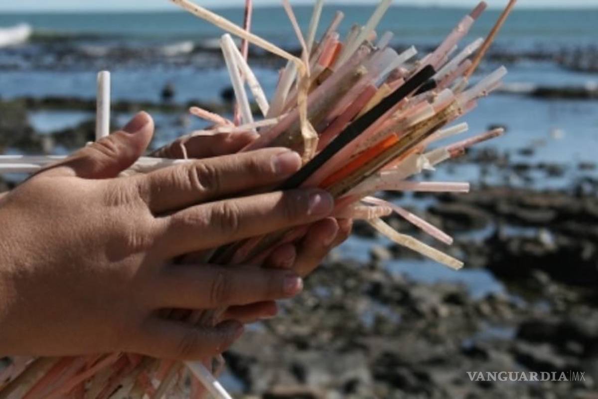 Futuro del planeta Tierra también se sorbe con un popote