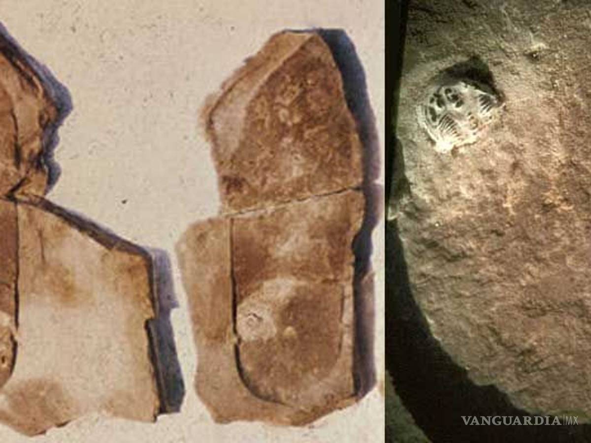 $!¿Baterías en el año 250 A.C.?... Sorprendentes objetos en la Tierra fuera de su tiempo