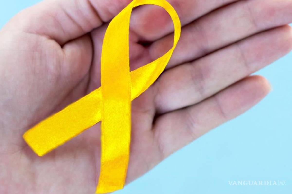 Mil mdp para rehabilitar la red hidráulica; beneficiarán a municipios laguneros