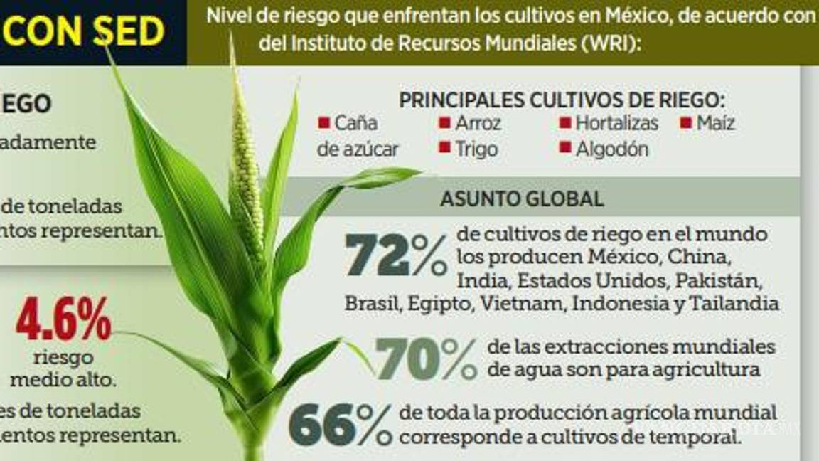 $!Pega crisis hídrica a 63% de cultivos