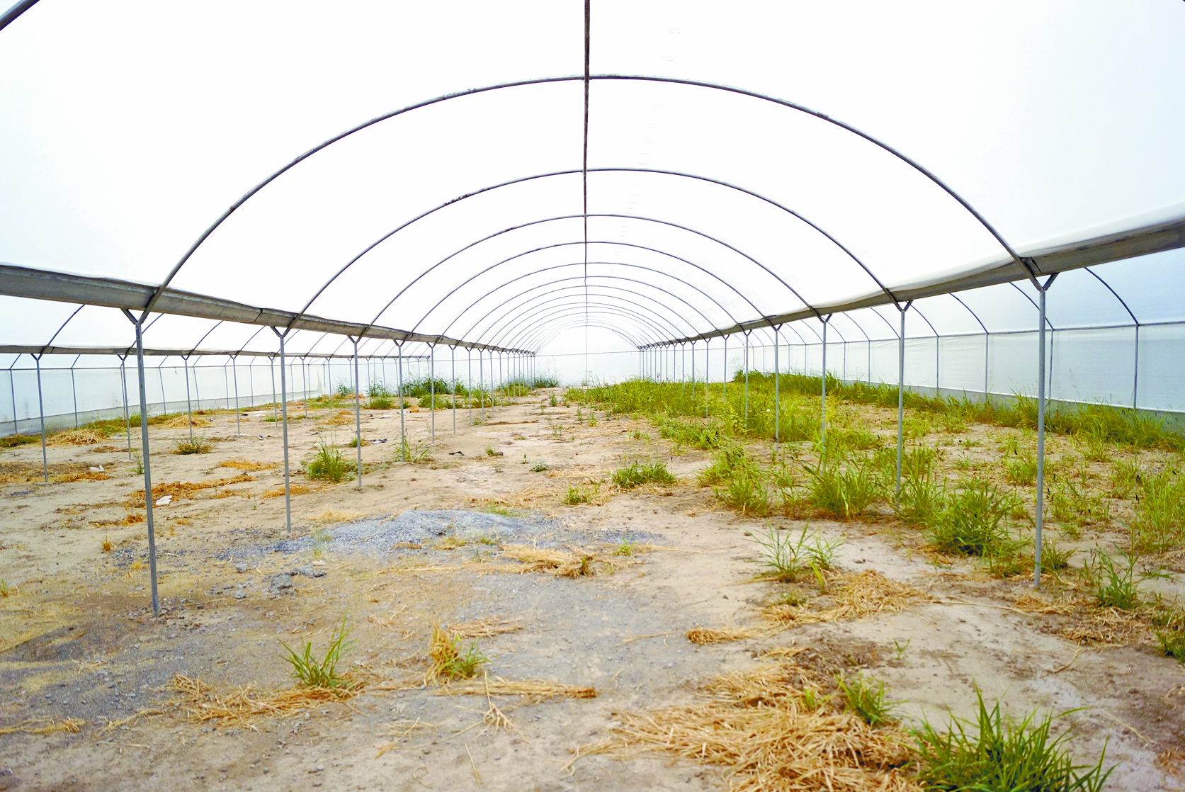 $!La historia de cuatro obras millonarias que no sirvieron para nada a los campesinos