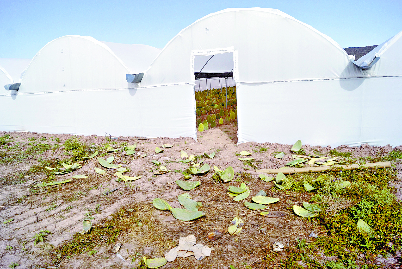 $!La historia de cuatro obras millonarias que no sirvieron para nada a los campesinos