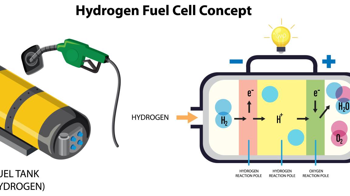 $!El proceso permite el tránsito selectivo de partículas, similar a un control de acceso.