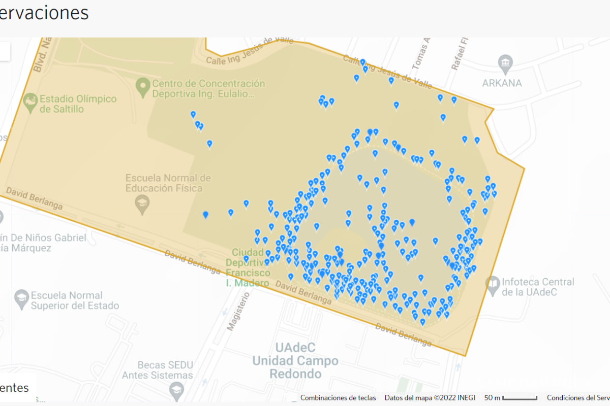 Saltillo: por sequía en NL, pelícanos, gansos y patos silvestres viajan a lago de la Ciudad Deportiva