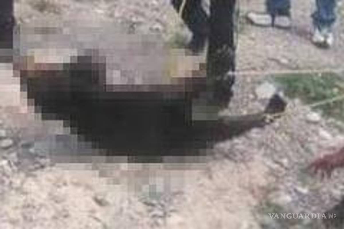 Con extrema violencia, cazan y matan a osezna en colonia de Castaños en Coahuila