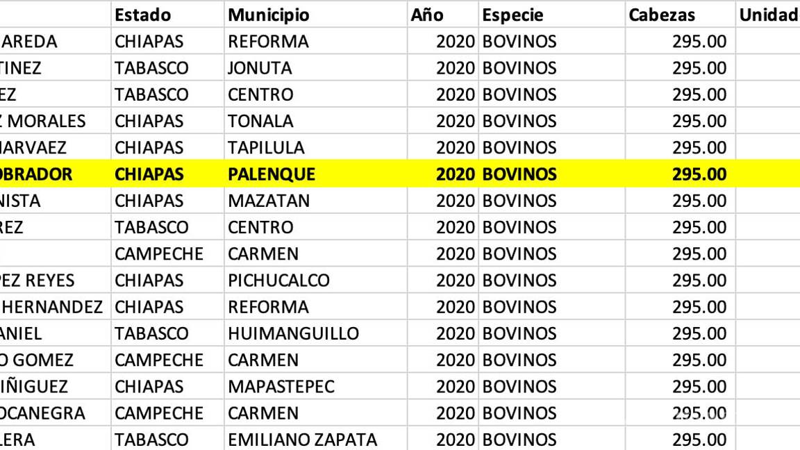$!Hermano de AMLO, beneficiado con crédito millonario del gobierno