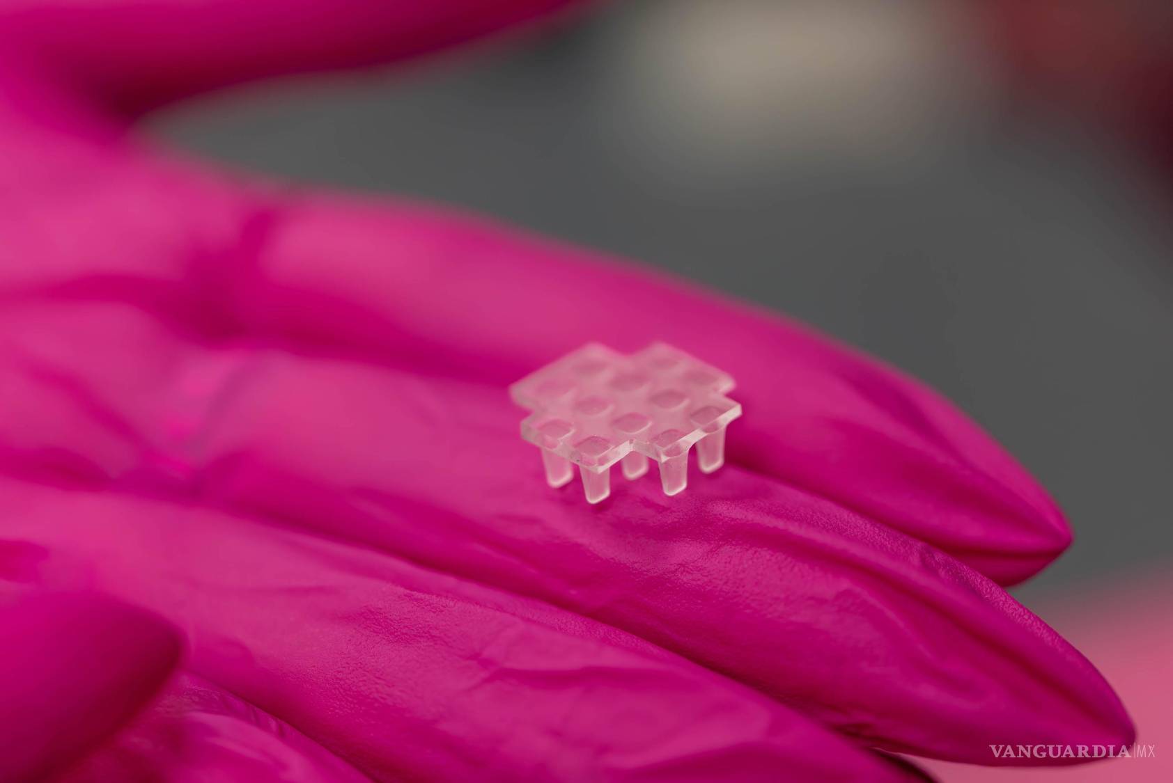 $!Las células productoras de citocinas se alojan en una estructura fabricada con un hidrogel que puede interactuar con los tejidos del huésped sin provocar rechazo inmunológico.