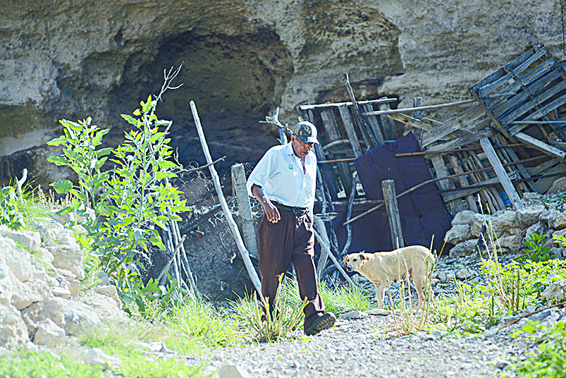 $!Don Pedro, el pastor del Cañón de San Lorenzo y sus 14 chivías