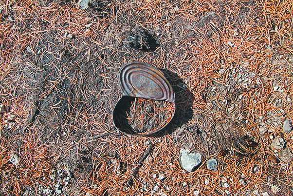 $!Lo que el incendio se llevó: un paisaje que nunca más verán nuestros ojos