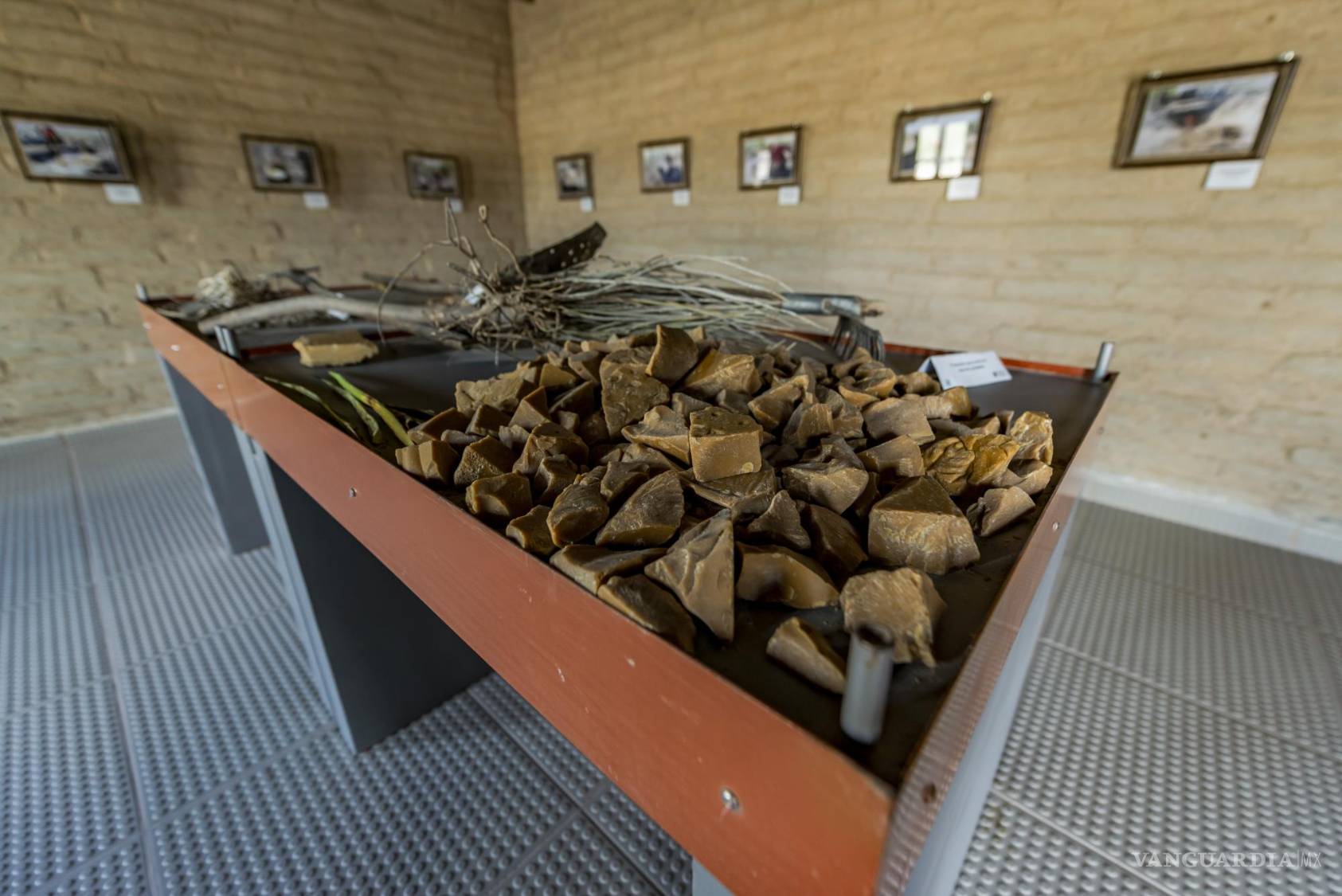 $!En 2019 el Centro de Investigación y Jardín Etnobiológico (CIJE) se fundó con el apoyo de la UAdeC y el Conacyt.