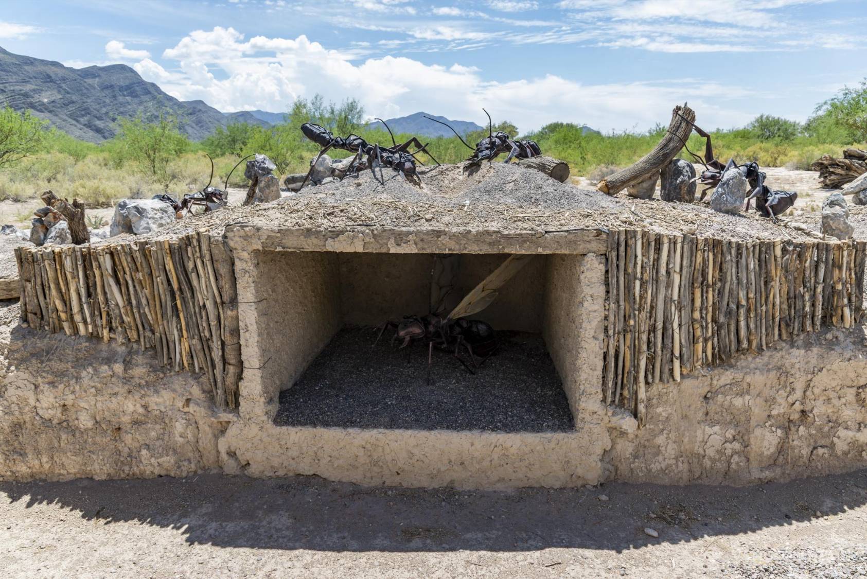 $!En el Centro de Investigación y Jardín Etnobiológico se estudian especies adaptadas a condiciones extremas en Coahuila.