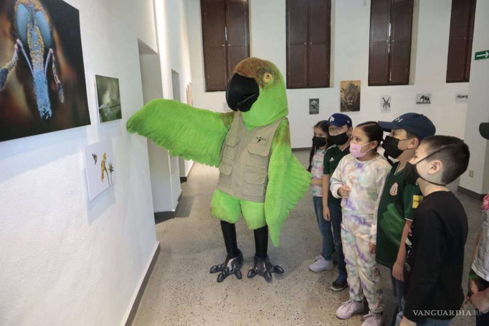 $!El Museo de las Aves de México abre los días 24 de diciembre entre las 11:00 y las 15:00 horas, así como el lunes 25 entre las 11:00 y las 18:00 horas.