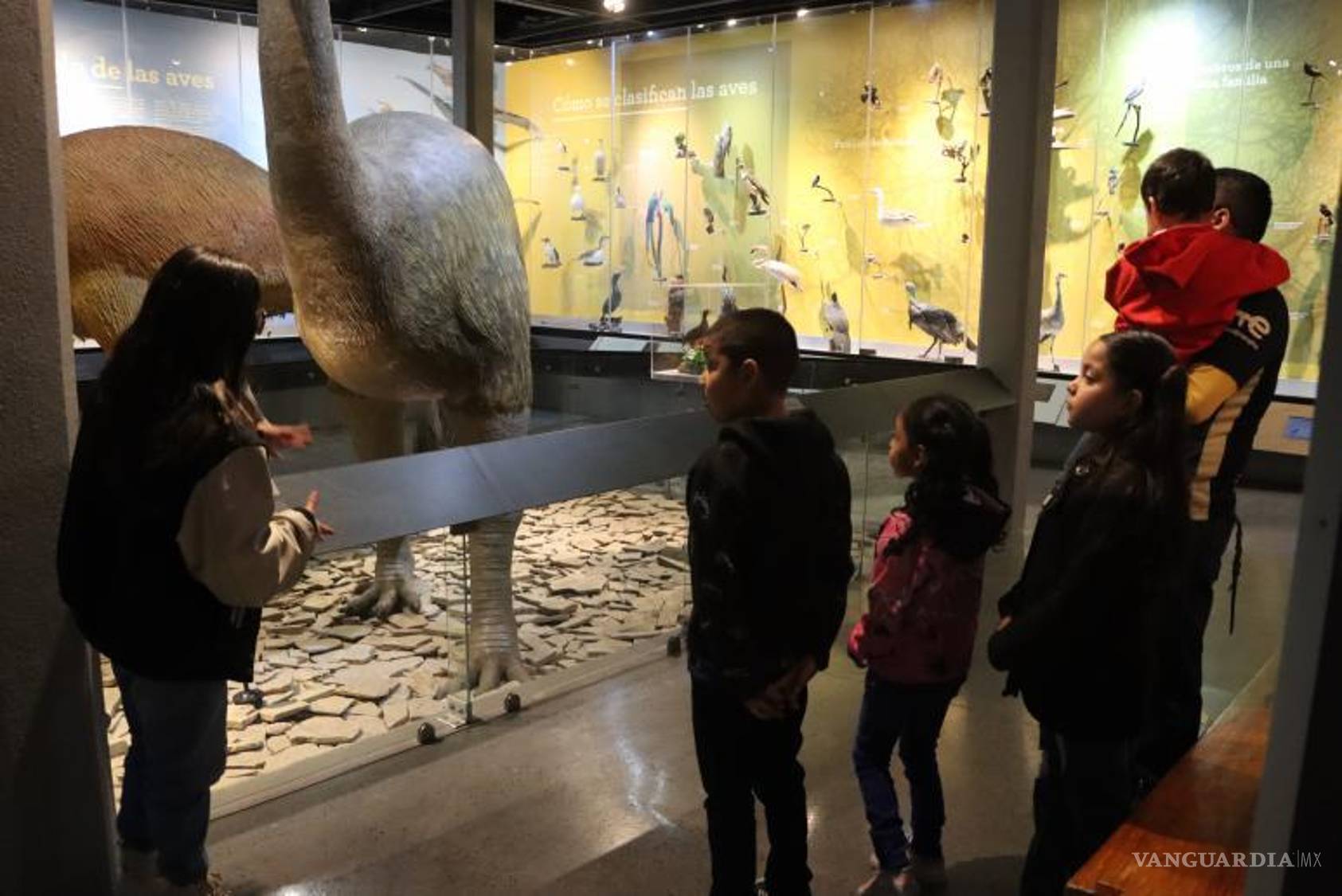 $!El Museo de las Aves permanecerá abierto este lunes.