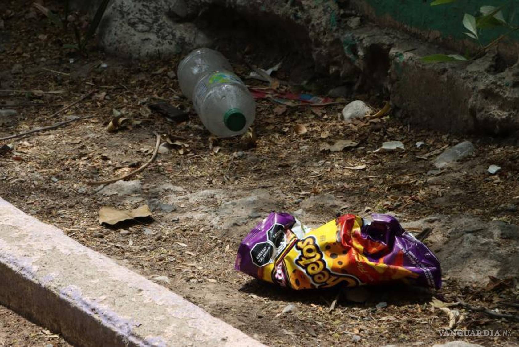 $!Don Pancho mantiene la plaza limpia, poda árboles y alimenta aves, convirtiendo su labor en un ejemplo de trabajo desinteresado.