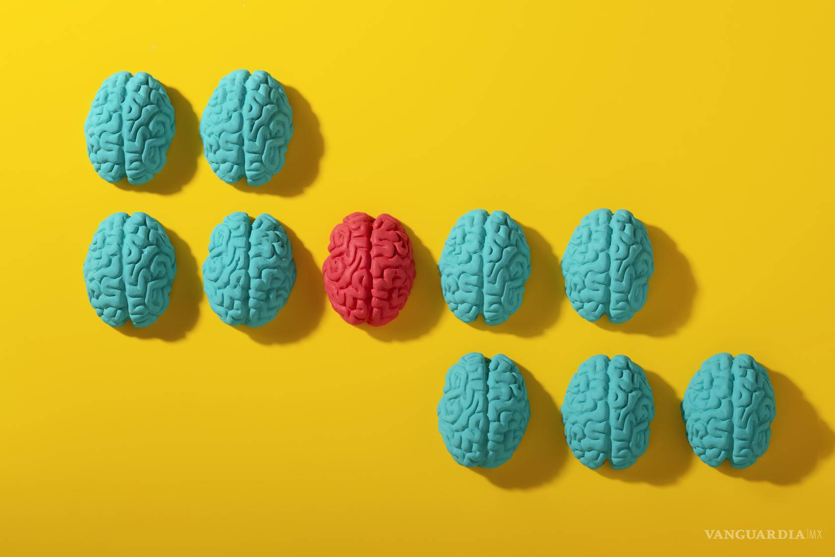 $!Algunas investigaciones intentan dilucidar en qué diferencia el cerebro de una persona con múltiples personalidades o con un comportamiento anómalo del perteneciente a una persona considerada normal.