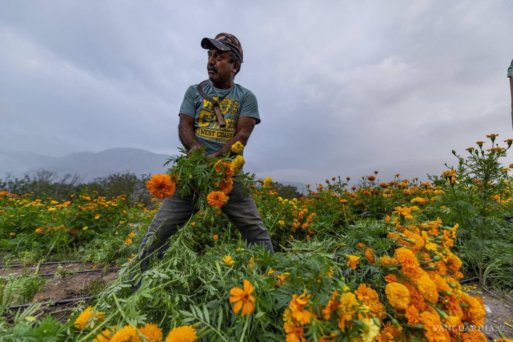 $!El legado de generaciones: 100 años de siembra en el ejido García.