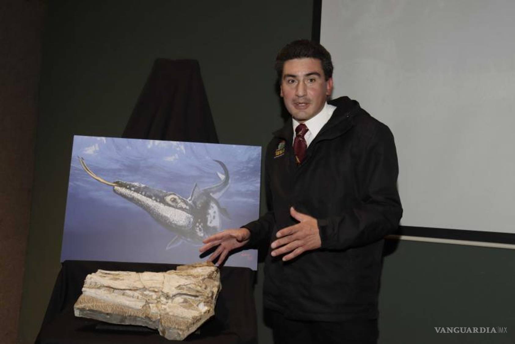 $!Científicos del Museo del Desierto realizaron una minuciosa reconstrucción del cráneo del Yaguarasaurus regiomontanus.