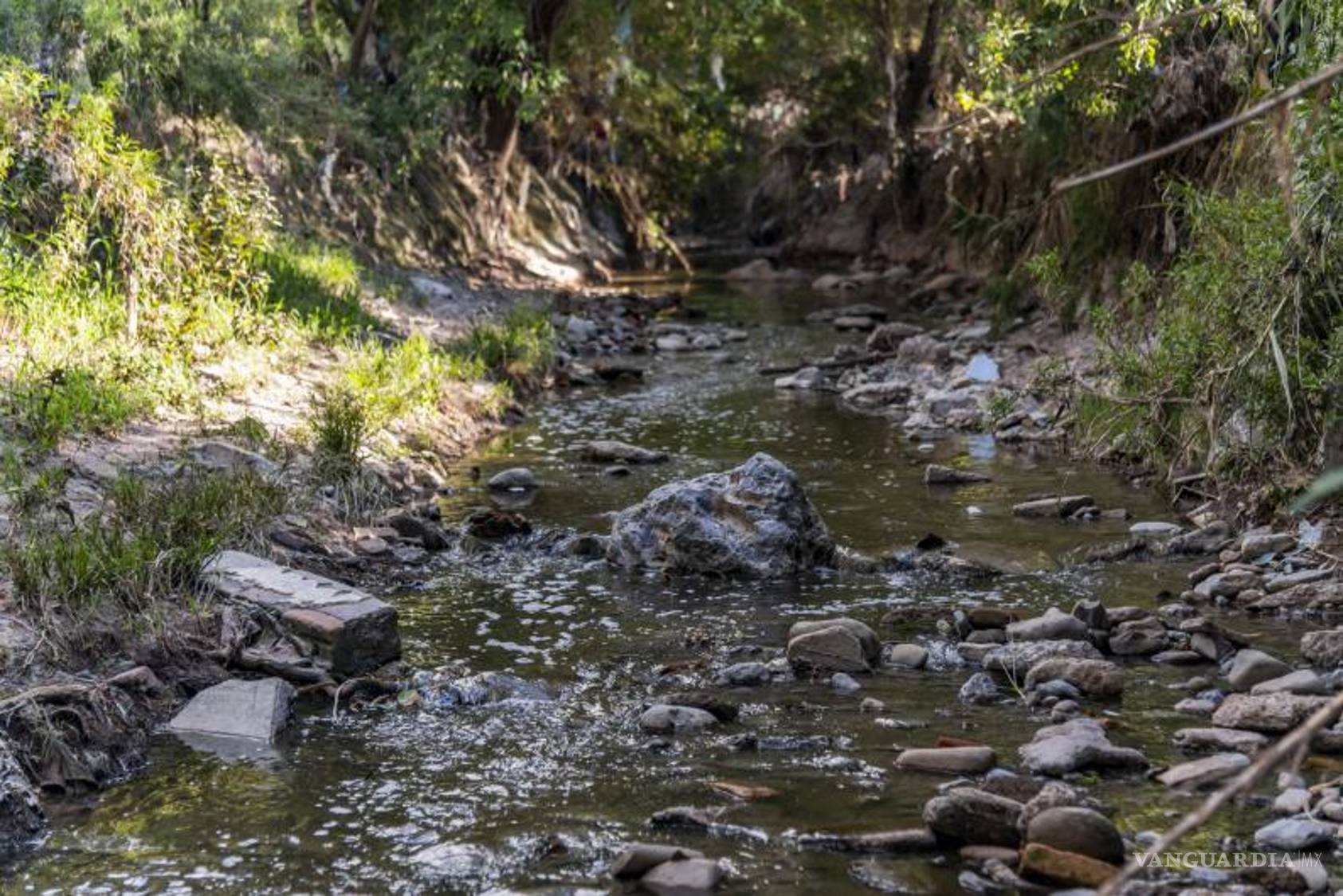 $!Mucha contaminación hay a lo largo del cauce del Arroyo del Pueblo.