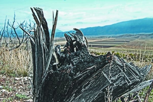 $!Lo que el incendio se llevó: un paisaje que nunca más verán nuestros ojos
