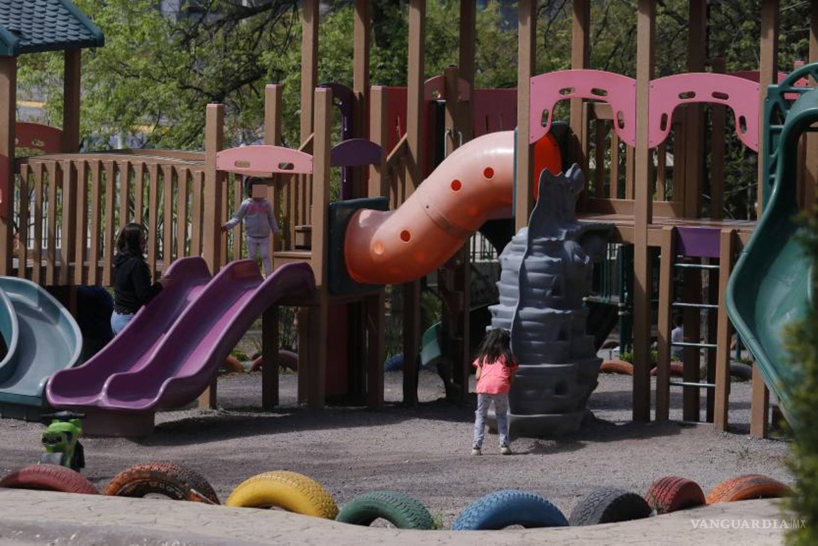 $!El Parque Ecológico ‘El Chapulín’ ofrece diversas instalaciones y servicios, incluyendo áreas de juegos, espacio para fiestas infantiles y jardines temáticos que exhiben la diversidad de flora y fauna de la región.