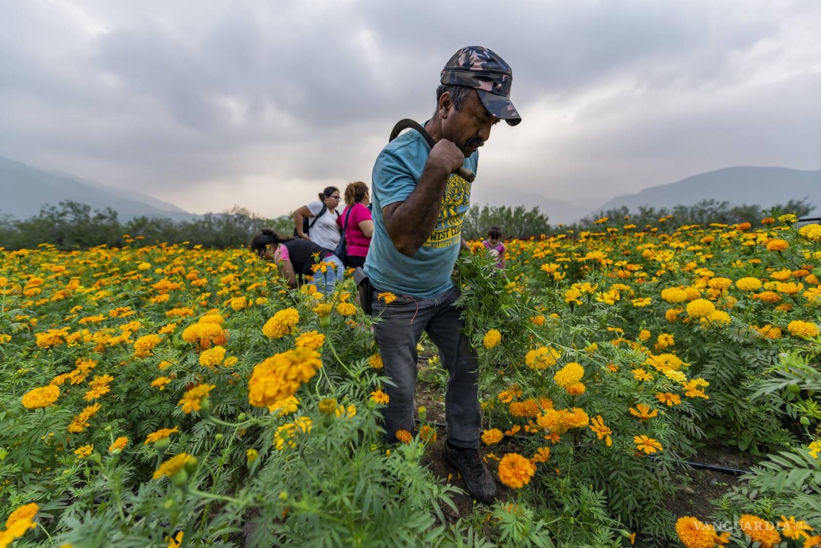 $!De la semilla a la foto: la experiencia floral en el ejido La Candelaria.
