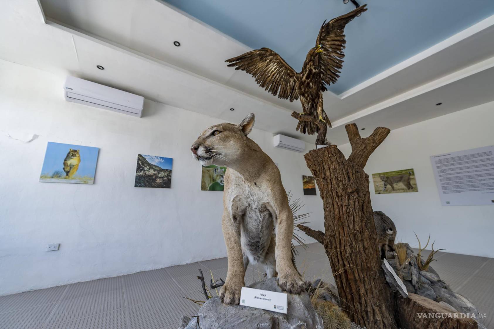 $!El lugar muestra especies endémicas y típicas de la región.