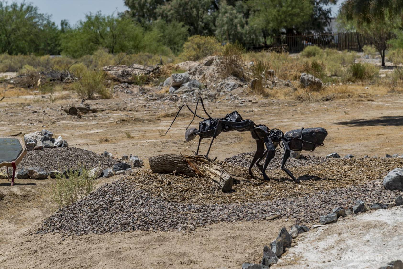 $!Esculturas detalladas representan la vida en un hormiguero en el museo de sitio del CIJE.