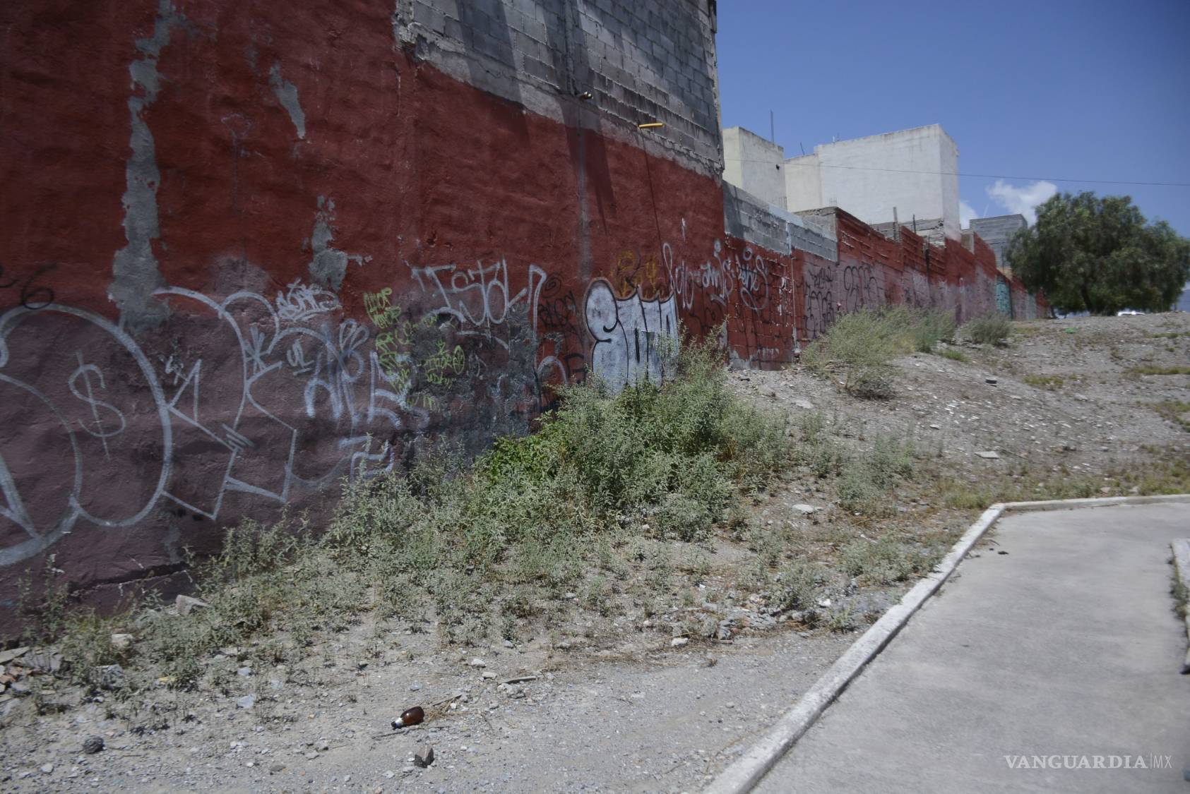 $!Grafiti: la epidemia que padece Saltillo
