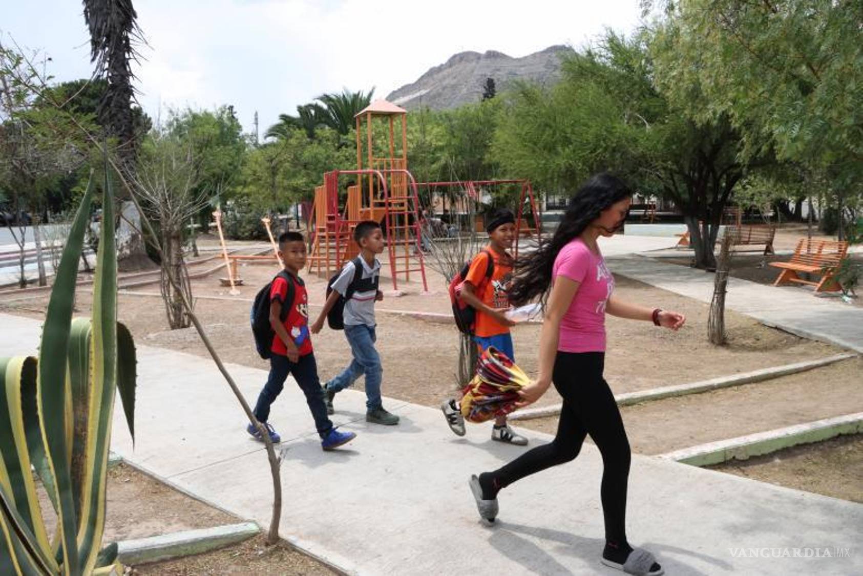 $!Los vecinos destacan que, además de su trabajo en la plaza, Don Pancho barre banquetas y poda árboles cercanos al lugar.